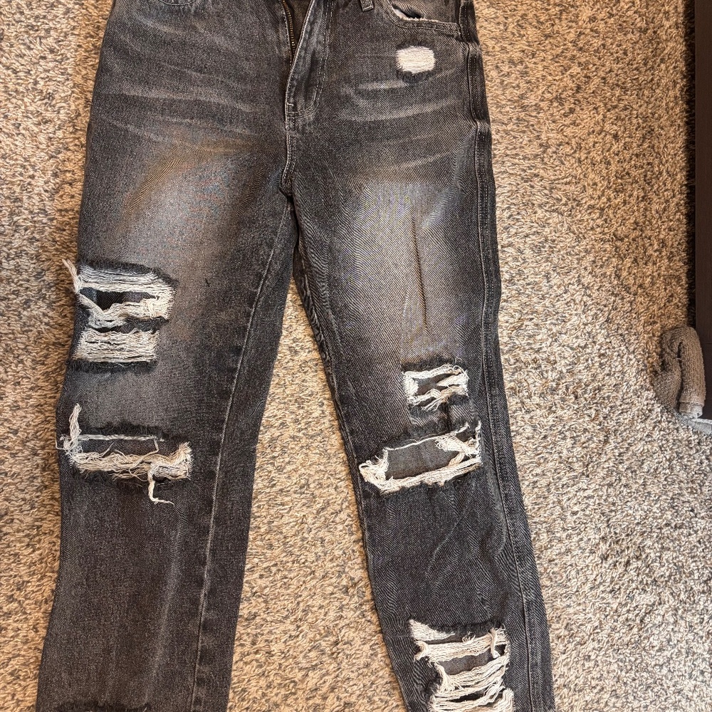 Flying Monkey - image 2